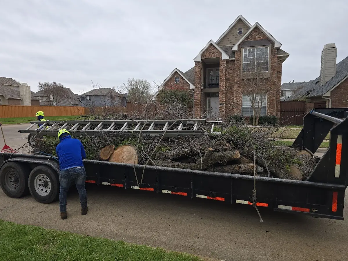 Expert Tree Fertilization with proper safety equipment in Amma